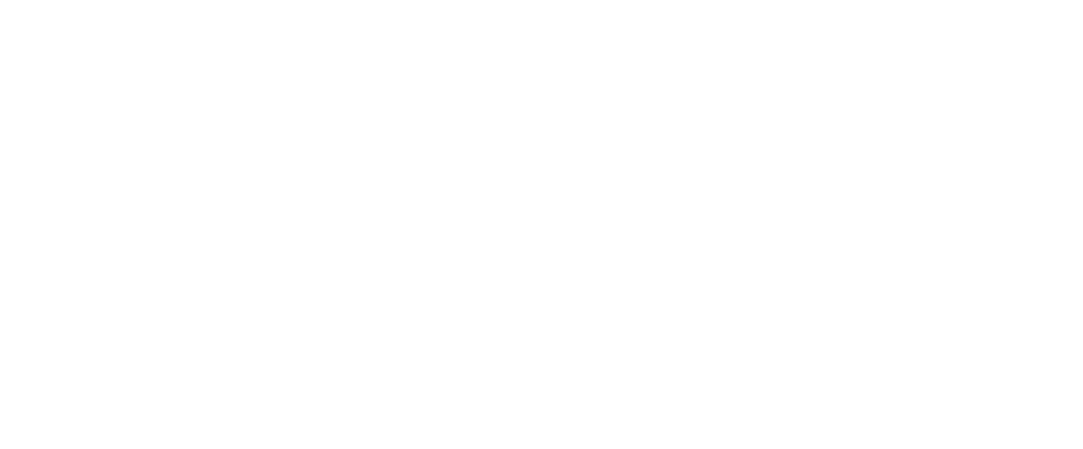 Digital Minds Solutions